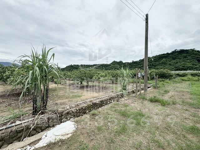 楠西農地-1