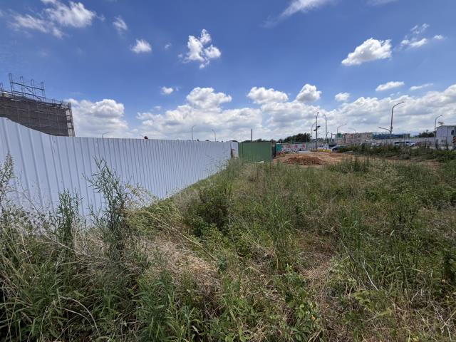 大園建地-3