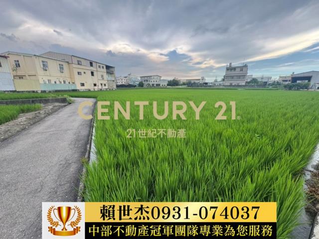 台中農地-3