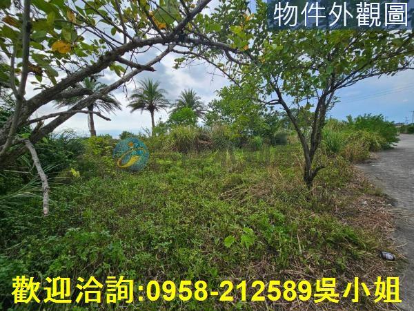 新竹湖口農地-0