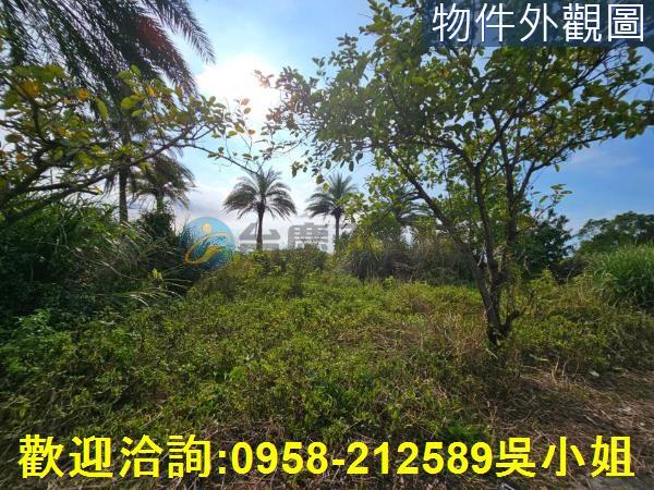 新竹湖口農地-1