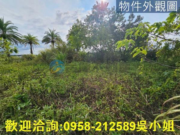 新竹湖口農地-2