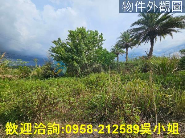 新竹湖口農地-3