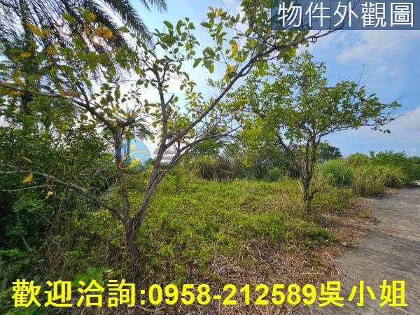 新竹湖口農地-4