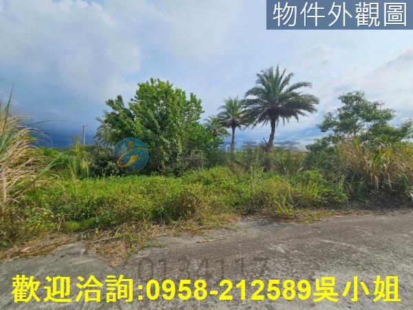 新竹湖口農地-6