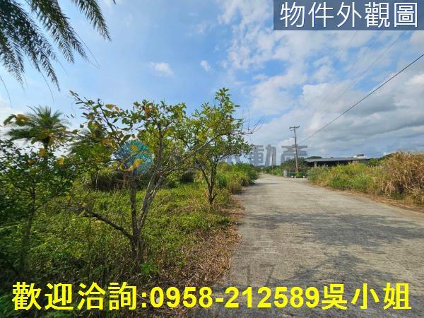 新竹湖口農地-8