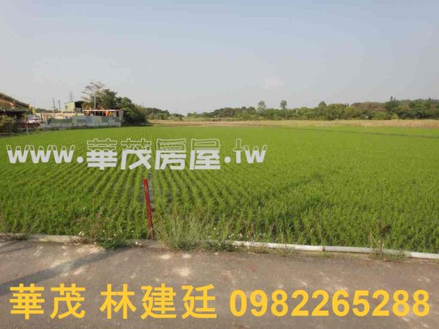 關廟農地法拍-9