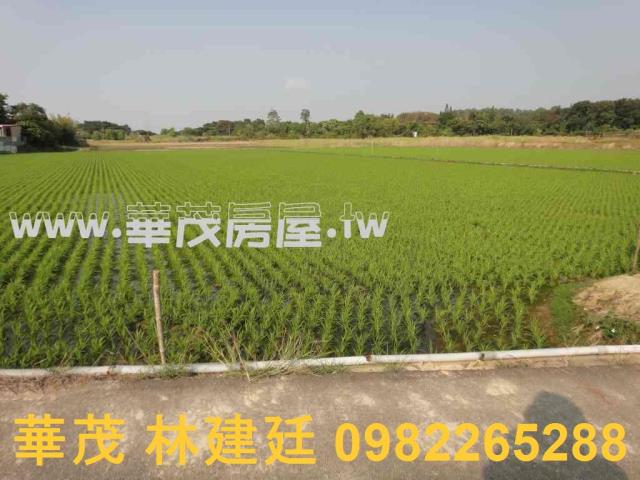 關廟農地法拍-2