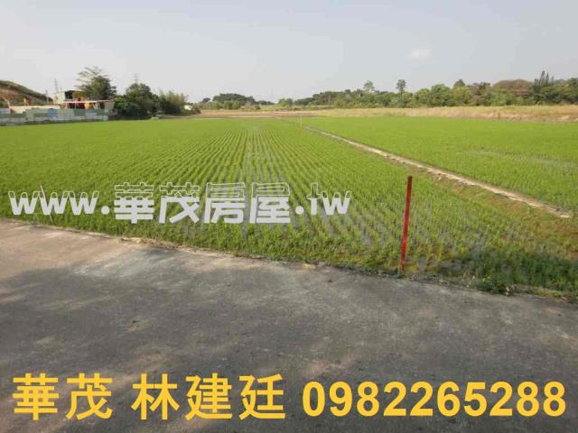 關廟農地法拍-4