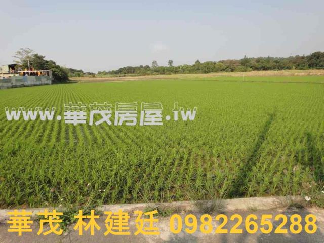 關廟農地法拍-7