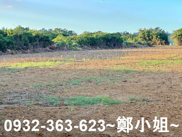 八德農地-10