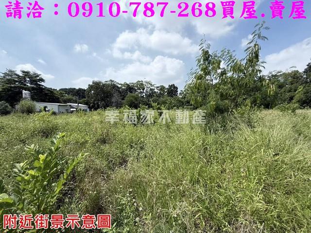 台南農地-5