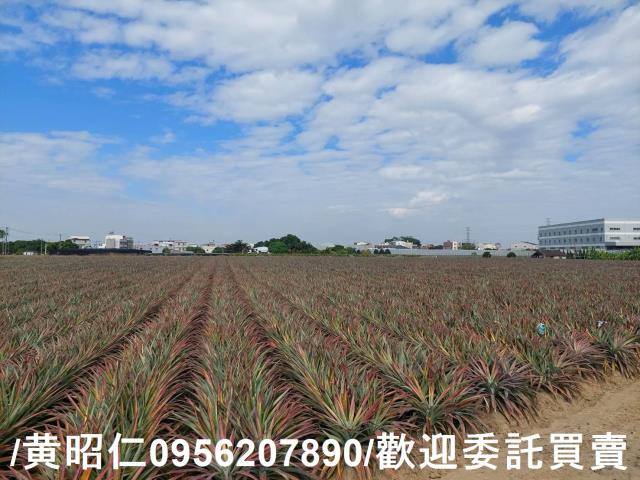 台南山上農地-2