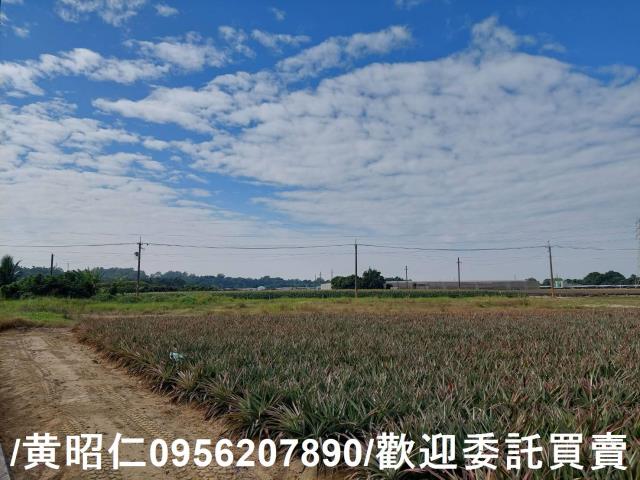 台南山上農地-4