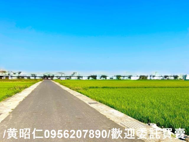 台南歸仁農地-1