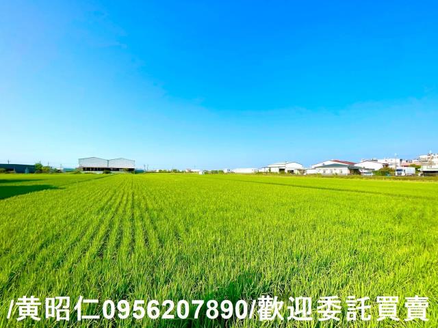 台南歸仁農地-2