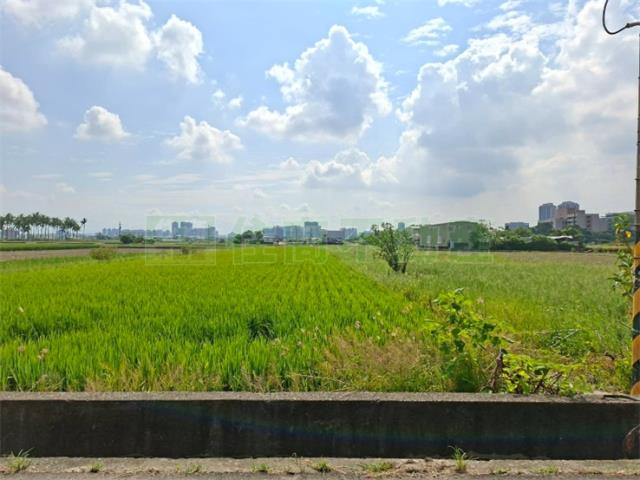 高雄橋頭農地-8