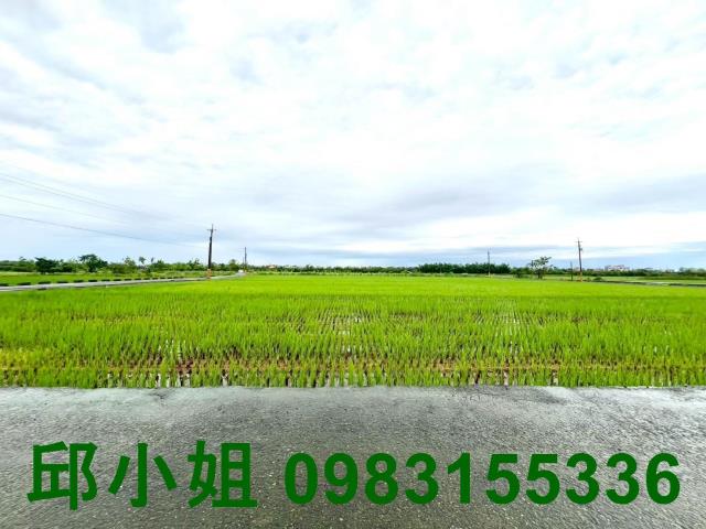 嘉義鹿草農地-0