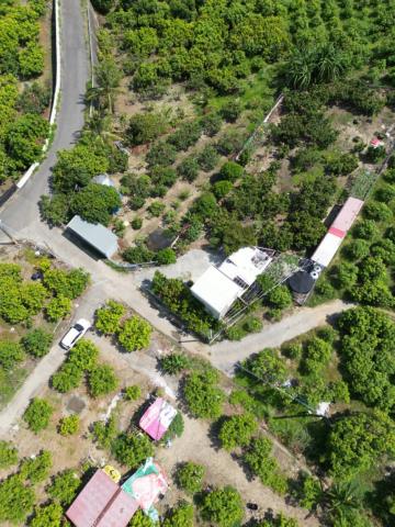 台南玉井農地-12