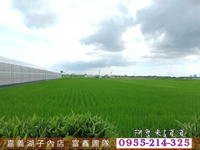 嘉義水上農地-5