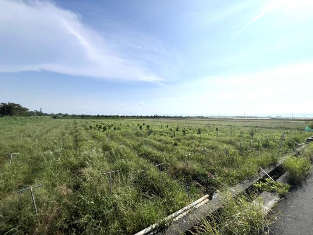 台南將軍農地-1