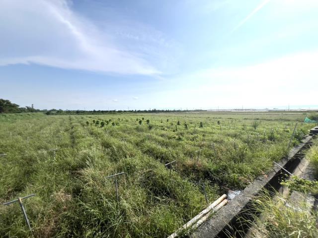 台南將軍農地-3