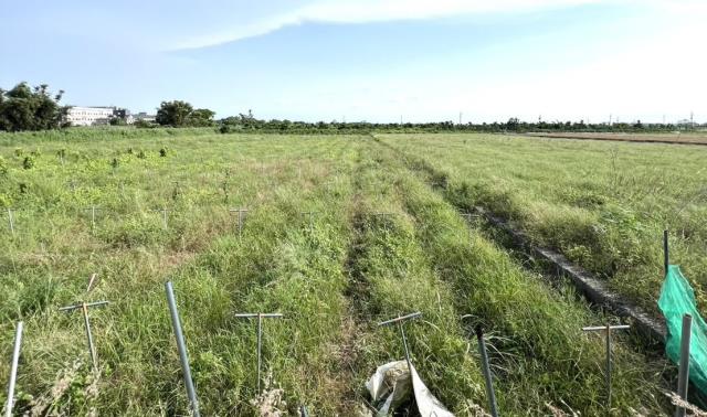 台南將軍農地-4