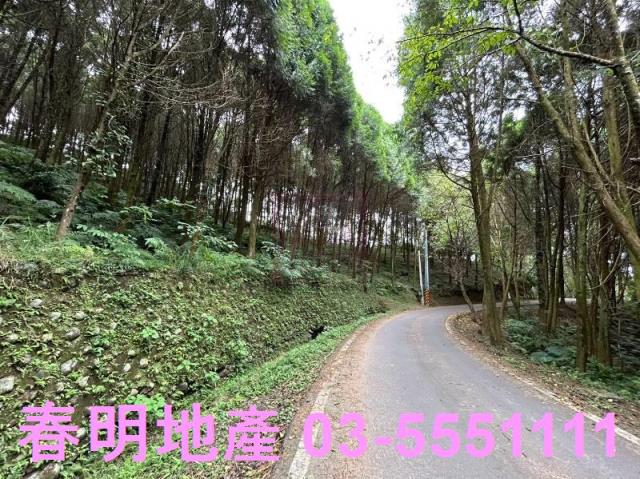 新竹橫山農地-9