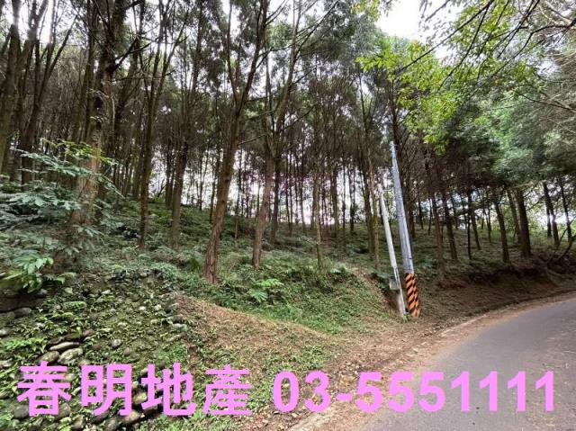 新竹橫山農地-12