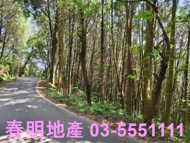 新竹橫山農地-0