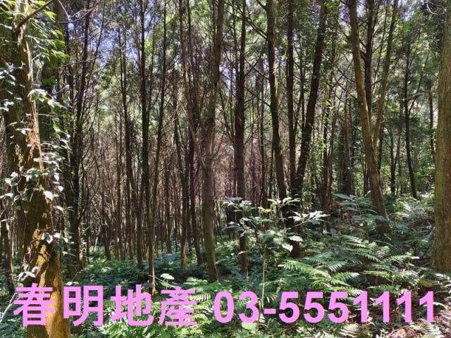 新竹橫山農地-1