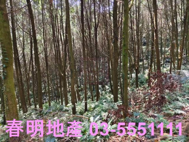 新竹橫山農地-6