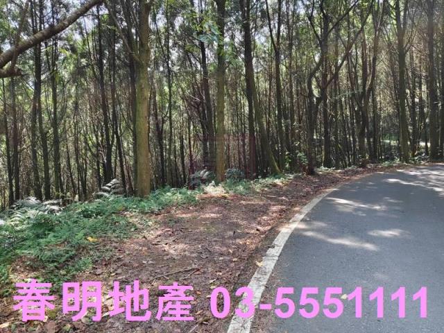 新竹橫山農地-7