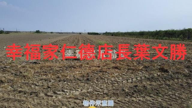 麻豆農地-12