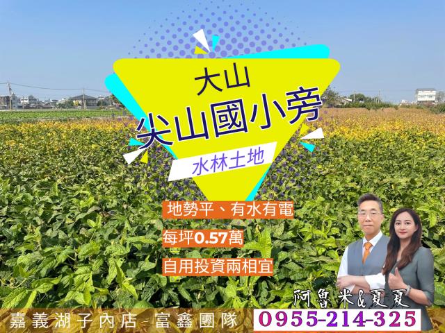 雲林水林農地-0