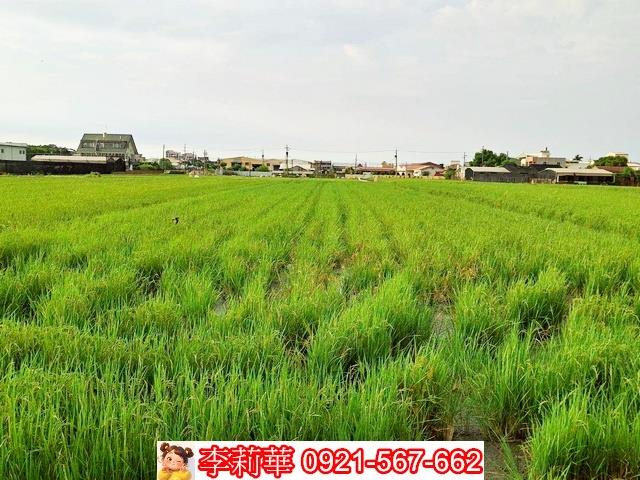 台南歸仁農地-3