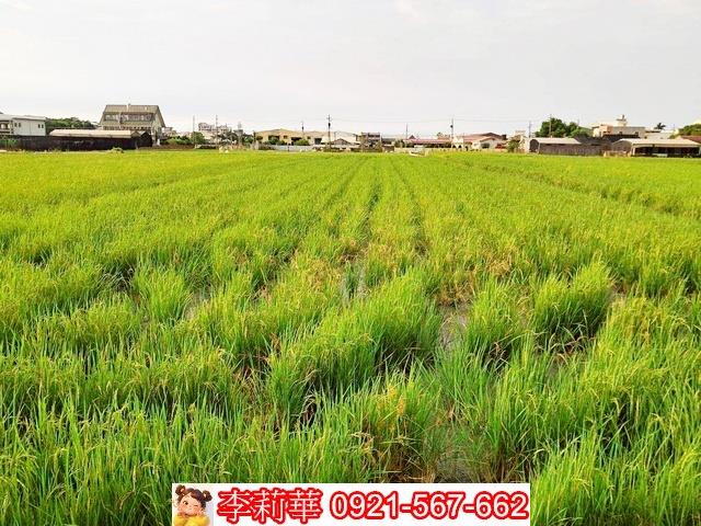 台南歸仁農地-4