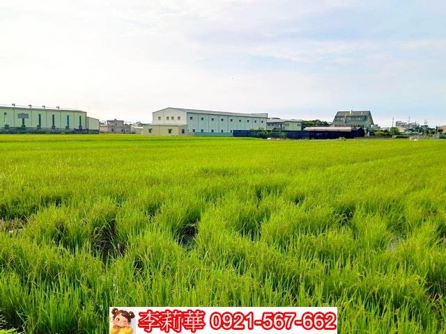 台南歸仁農地-5