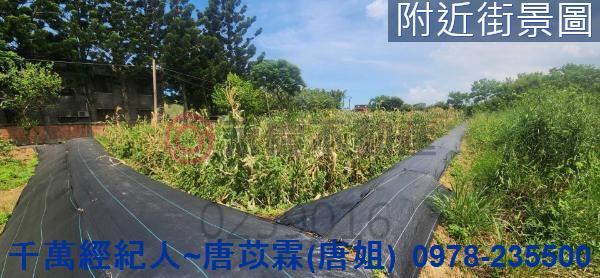 新竹湖口農地-6