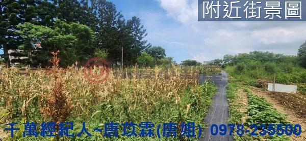 新竹湖口農地-7