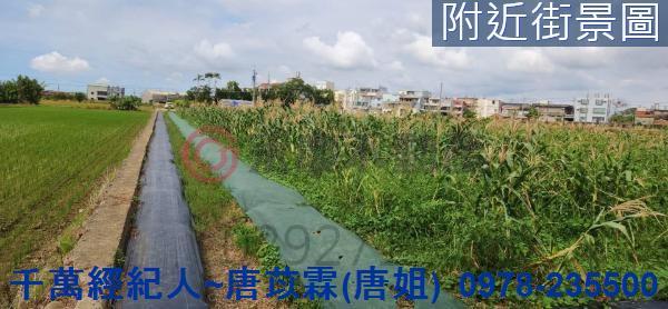 新竹湖口農地-5