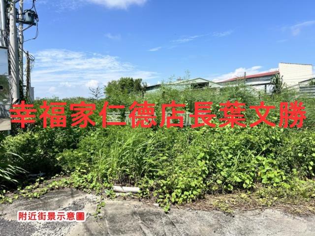 台南仁德農地-1