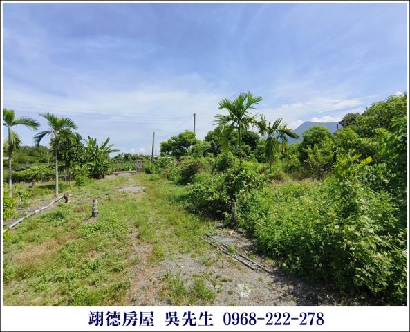 屏東高樹農地-9
