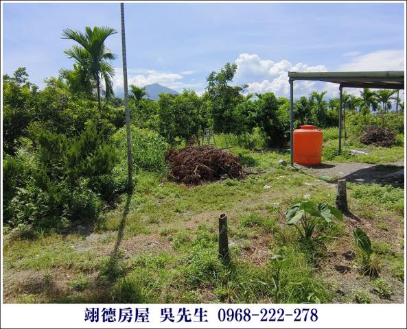 屏東高樹農地-7