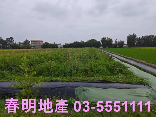 新竹湖口農地-5