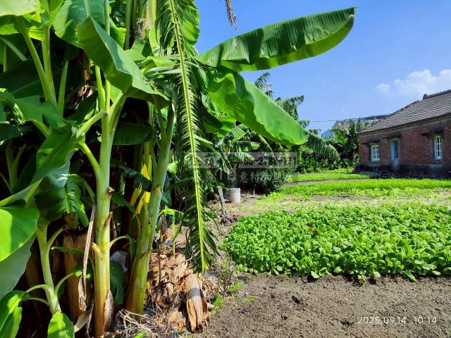 雲林四湖建地-9
