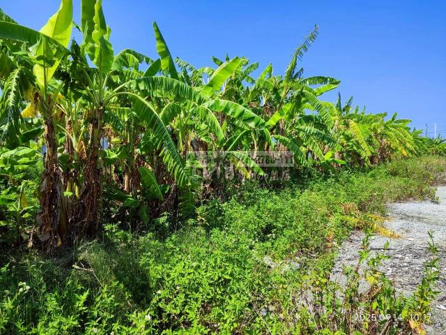 雲林四湖建地-11