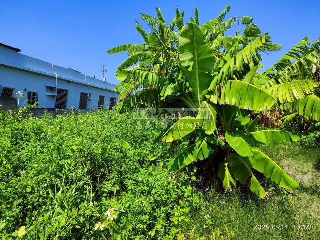 雲林四湖建地-6