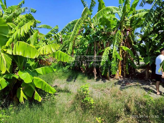 雲林四湖建地-7