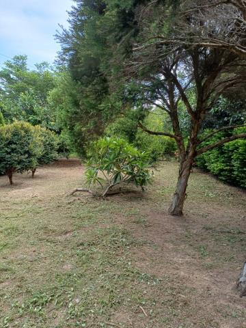 苗栗通霄農地-2